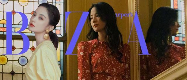 刘亦菲侧颜为什么好看，刘亦菲不是基因彩票