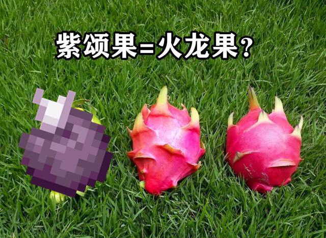 我的世界紫颂果生长判定，我的世界紫颂果