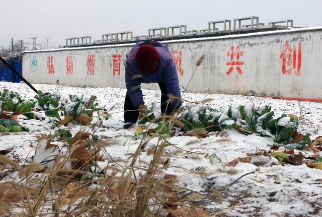 立冬下雪代表了什么，今日立冬有雪雪打冬有何预示