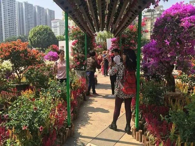 梧州宝石节活动时间表，第十六届梧州宝石节全攻略出炉了