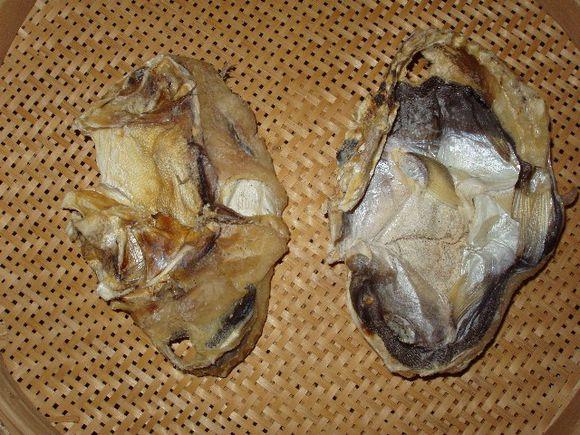 河豚是最常见却又最昂贵的东西，它到底生活在河里还是海里