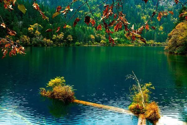 四川5a旅游景区名单，四川5a级旅游景点有哪些