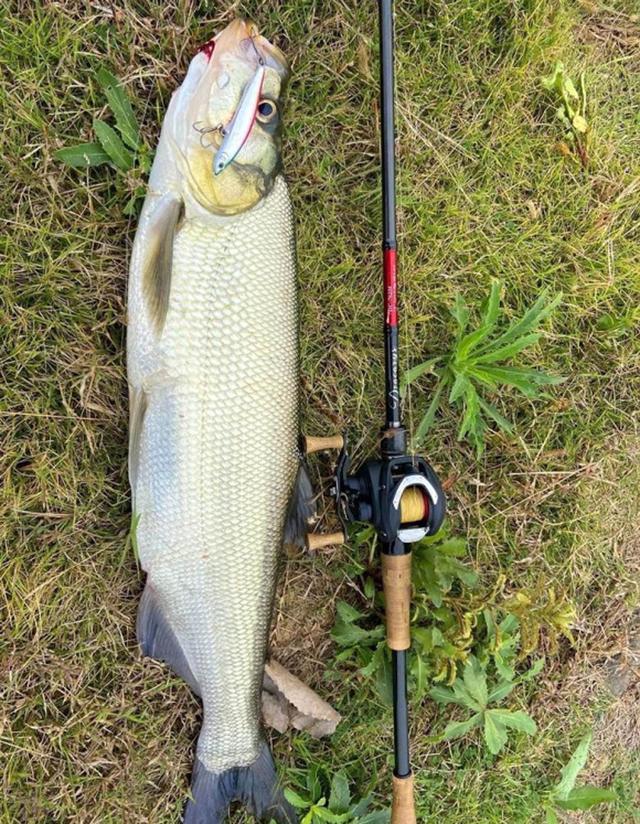 大翘嘴怎么钓上鱼最快，分享三种钓翘嘴的方法