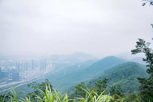 深圳十大山风景区，推荐10个非常值得一去的登山打卡点