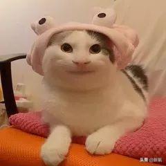 李响孙骁骁公开恋情，孙骁骁李响分手原因曝光（主持人李响大婚新娘不是孙骁骁）