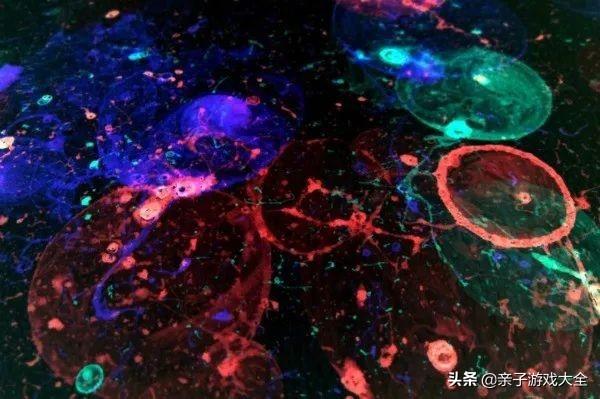 gai都有什么好物，探GAI团队亲测推荐