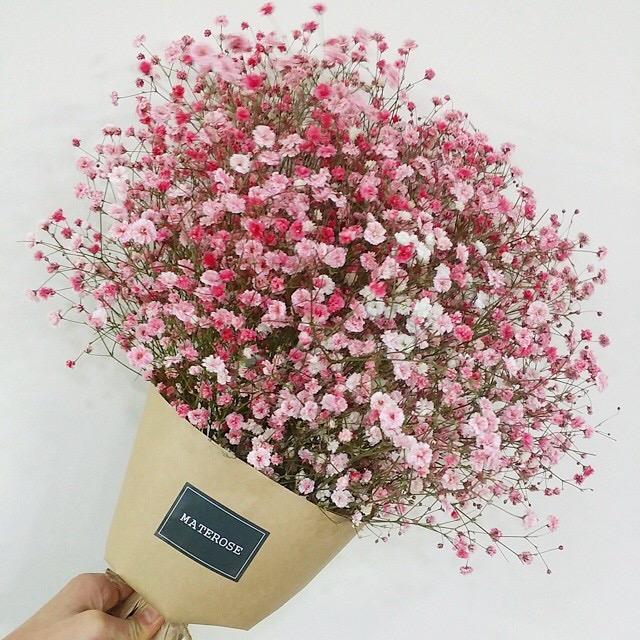 鲜花满天星做干花需要醒花吗，干花比鲜花更常见