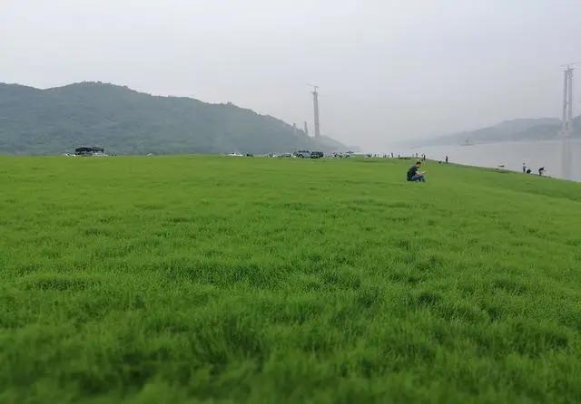 南湖多彩植物园，这个季节重庆哪些地方旅游最适合（邀你来看“漫山红”）