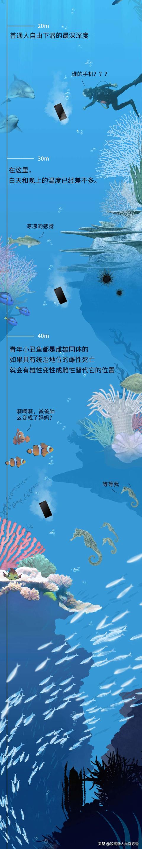 深海探秘16种奇特生物你见过几种，潜入海底一万米