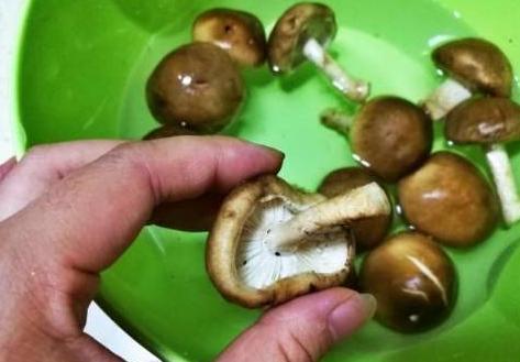 香菇怎么洗才干净，正确洗香菇的方法