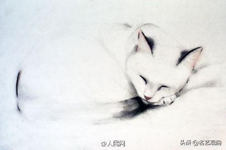 100种小猫怎么画，100种画真猫的画法（教你在纸上养个主子）