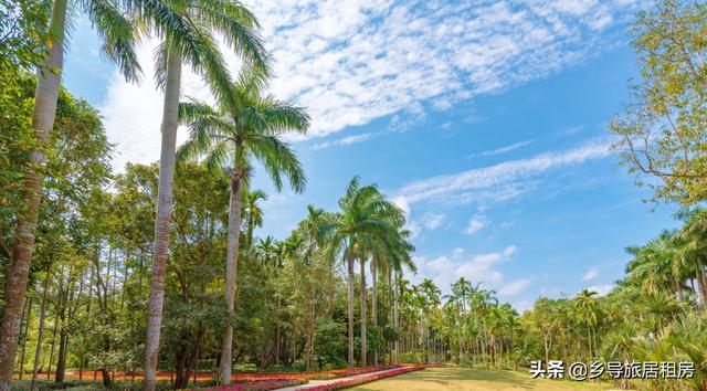 三亚要包吃住公寓，三亚包吃住品质公寓（三亚依山傍水的包吃住公寓）