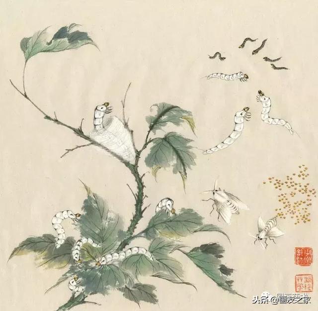 九尾狐最简单的画法教学，逐花之虫蝶蜂画法示范