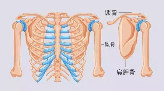 4分钟练出天鹅颈，三步让你拥有天鹅颈