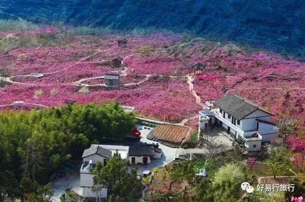 南昆山云顶温泉度假村，南昆山云顶温泉游玩攻略（惠州这家温泉入围全国第八批星级温泉旅游企业）