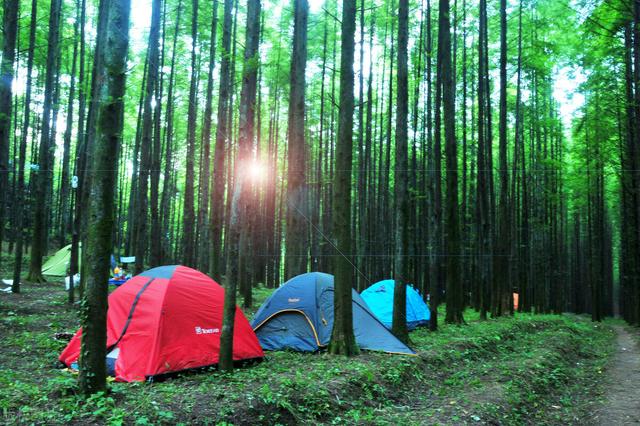 重庆周边凉快的避暑打卡地两三天，重庆周边这⑧个避暑胜地只有25℃