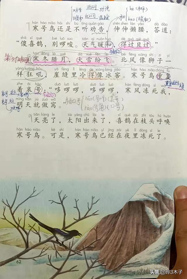 二年级语文上册部编版寒号鸟，3篇小学课文帮孩子领略大雪之美