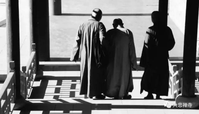 梦参老和尚圆寂前预兆，梦老圆寂前的惊人开示