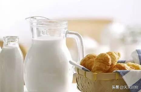 狗为什么会得细小，什么原因导致狗狗得细小（为何却被查出患有细小）