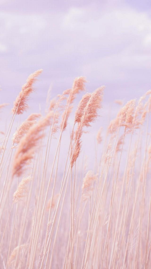 长大以后我只能奔跑，长大以后只想奔跑