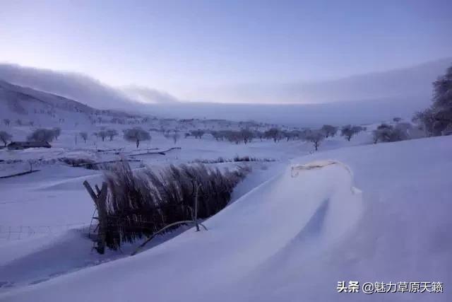 向草原奔跑揭秘蒙古族游牧文化，现已逐渐消失的走牧制度“敖特尔”