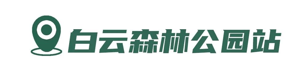 丽水市最好景区在哪里，游遍丽水市12个好地方