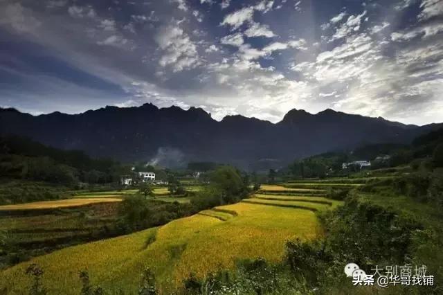 河南乡村旅游发展，嵩县：打造有特色的乡村游