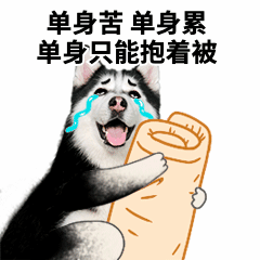 比利时这个国家的特色，你不知道的国家冷知识