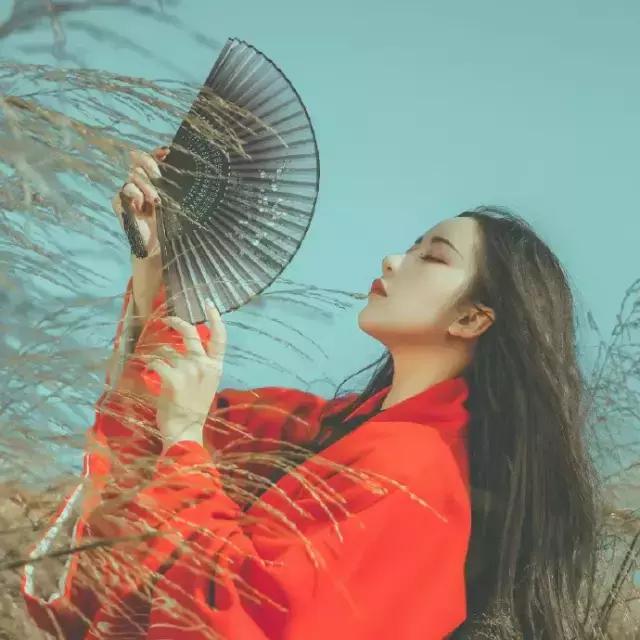 桃花壁纸高清古风，壁纸~古风桃花