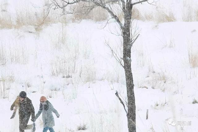 木月为什么自杀，真正能读懂挪威的森林