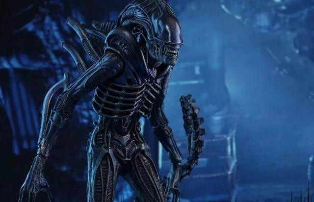 异形形态进化史，来自太空的恐惧