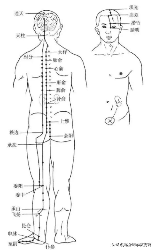 十二经络循行路线，十二经脉循行走向与交接规律图解（<十分钟教你终生不忘）