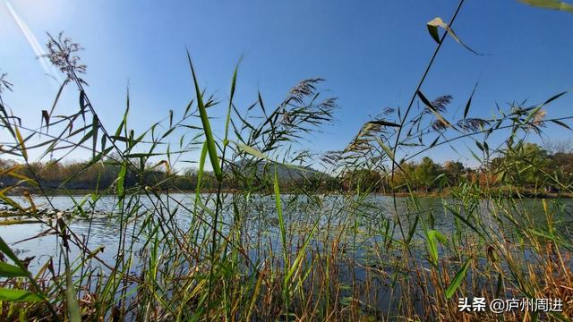 人生九言经典语录，我自己的人生，我想自己决定