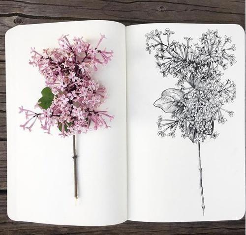 激励自己努力的句子，激励自己的句子精辟