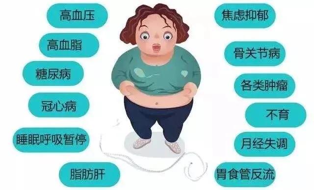 肥胖生殖(肥胖生殖无能综合征)