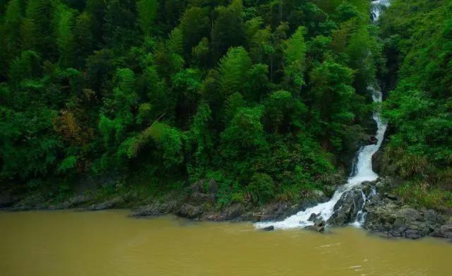 十万大山在哪里，广西十万大山指的是哪里（十万大山）