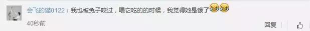 兔子急了也会咬人，千万别把对手逼上绝路》