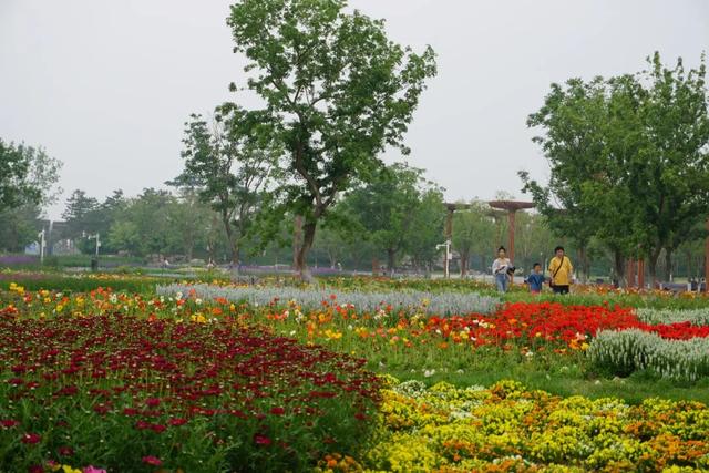 北京必玩景点排名，北京必玩的十个景点排名榜单（北京最值得去的12个景区）