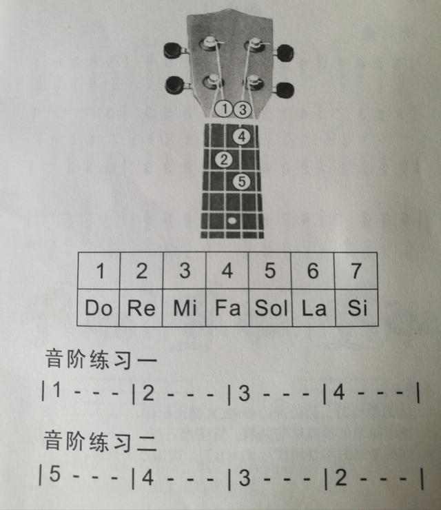 四弦吉他入门指法图，吉他5种指型是什么意思