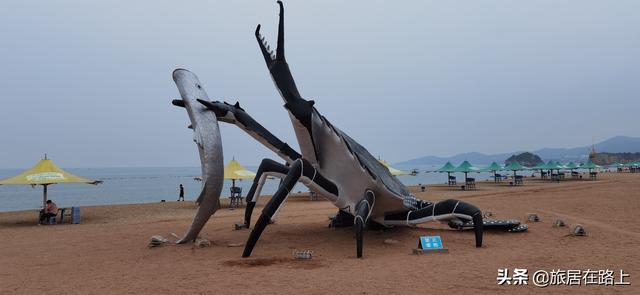 大连黄金海岸海边游玩攻略，走进东北最迷人的黄金海岸