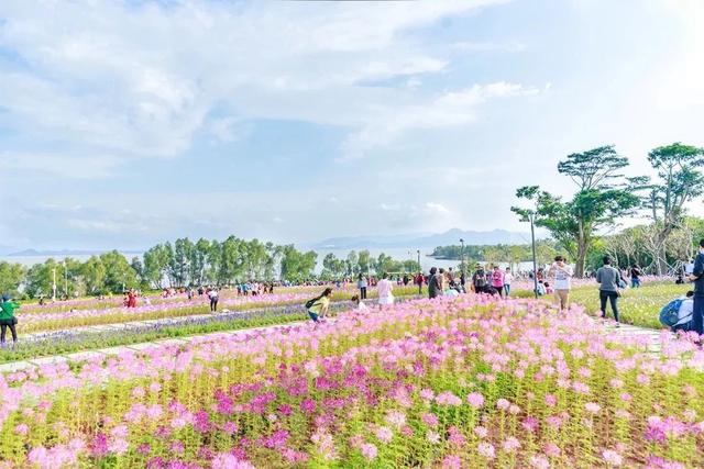 深圳哪个海边值得去，深圳私藏的10个看海好去处