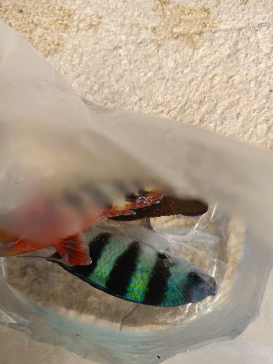 为什么很多人去印尼打工，记录印尼打工生活点滴