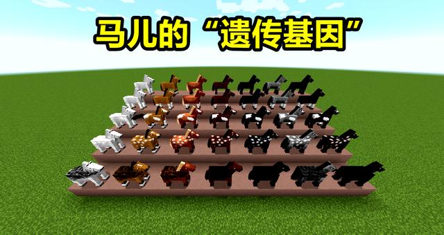 我的世界你一定要知道的冷知识，我的世界还有啥