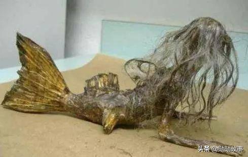 世界上有没有美人鱼，世界上到底有没有美人鱼之谜（900米深海拍到美人鱼）