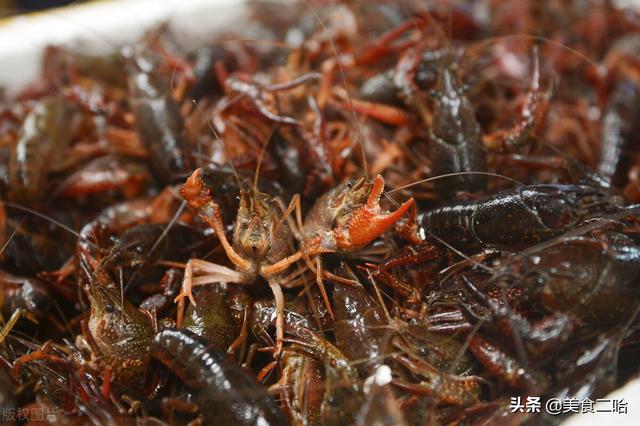 清洗小龙虾的简单正确方法，清洗小龙虾你用对方式了吗