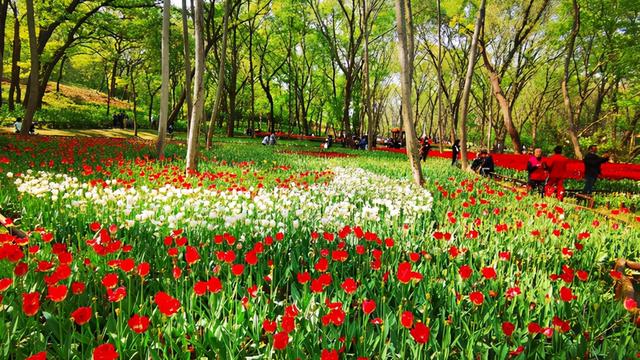淮南是哪个省的，安徽淮南市属于哪个市（为何淮南房价如此之低）