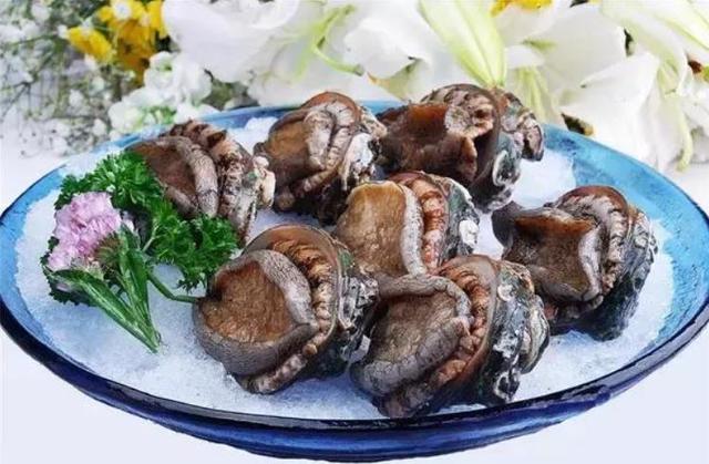 20种鲍鱼种类，世界鲍鱼品种大全