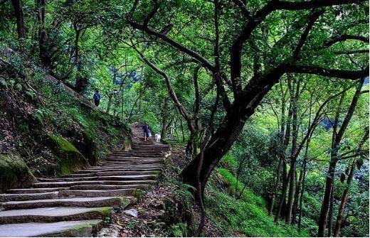 去重庆旅游攻略，去重庆旅行看这份攻略（三种玩法，带你玩转重庆）