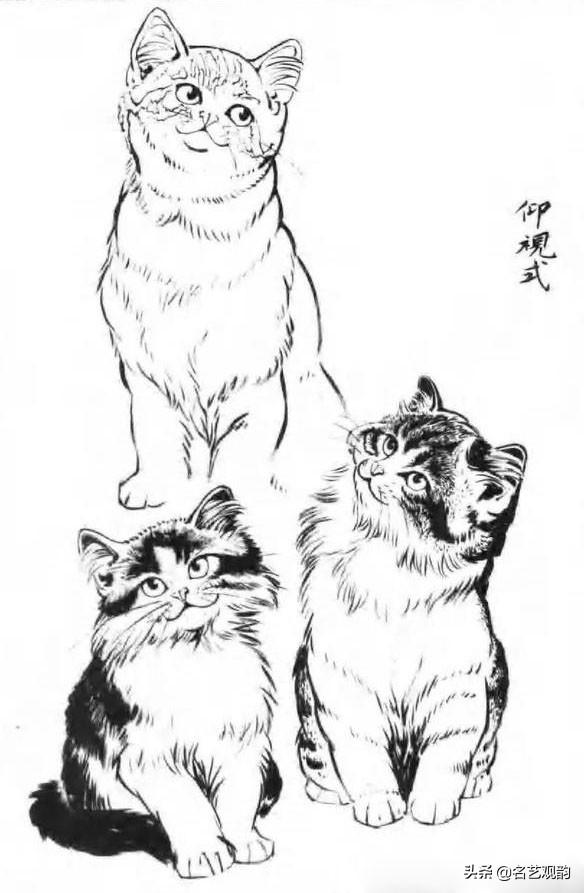 100种小猫怎么画，100种画真猫的画法（教你在纸上养个主子）