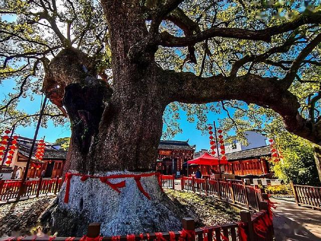 新安江山水画廊风景区，新安江山水画廊风景区在哪里（忘不了的山水画廊，你想它几分）